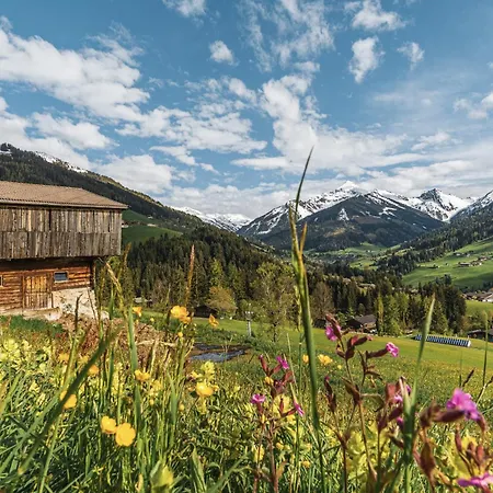 Penthouse N'3 - Alpenluxus Collection Kramsach