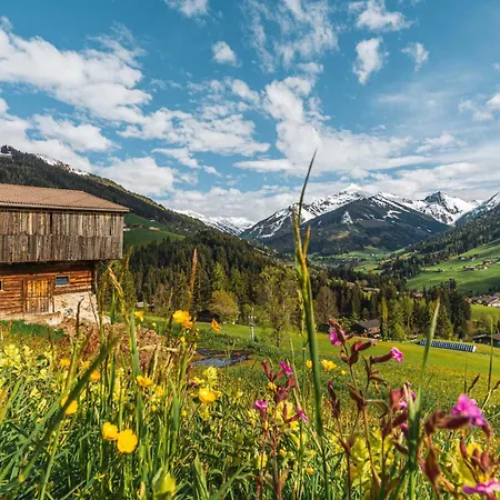 Penthouse N'3 - Balcony, Sauna & Whirlpool Access * Kramsach