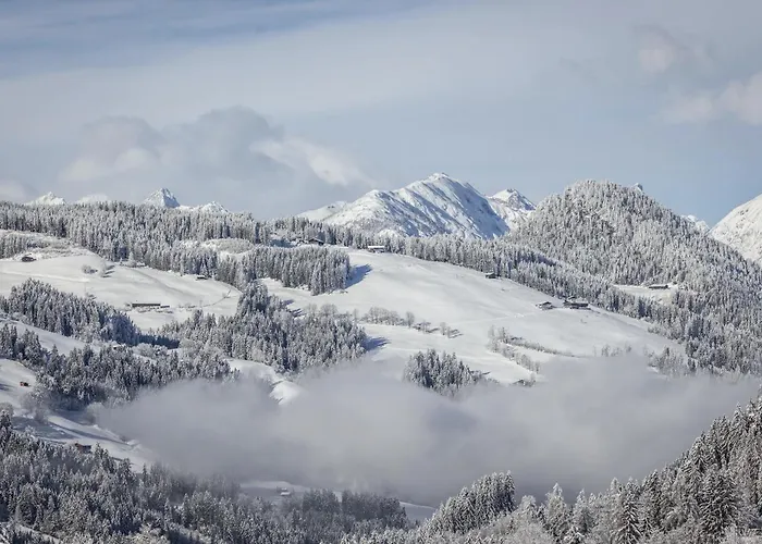 Penthouse N'3 - Alpenluxus Collection Апартаменты Крамзах