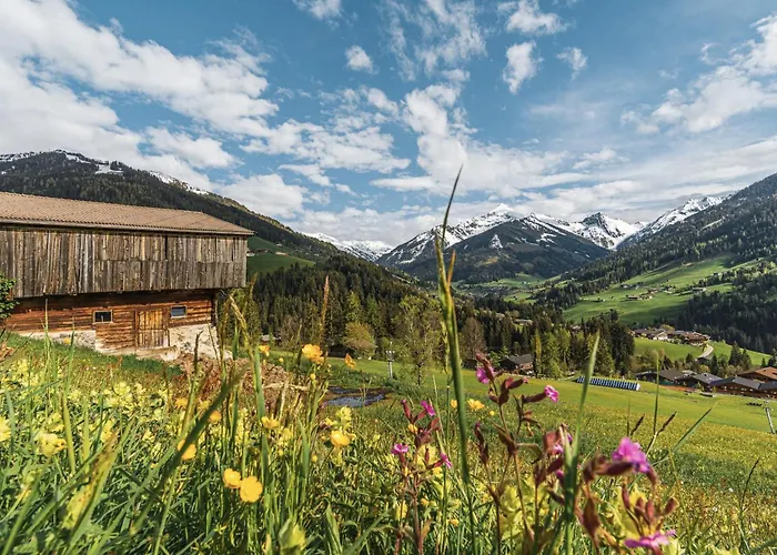 Penthouse N'3 - Alpenluxus Collection Крамзах